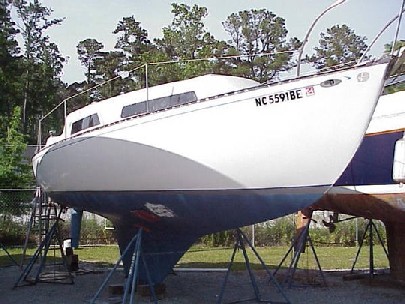 980768_1.jpg