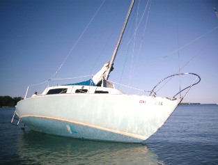 Harvey_Aground4.JPG