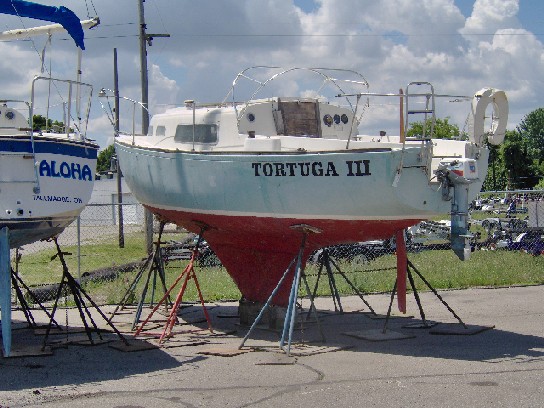 Tortuga lll-1.jpg