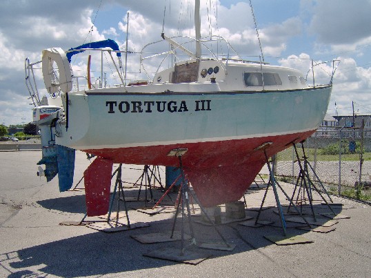 Tortuga lll-3.jpg