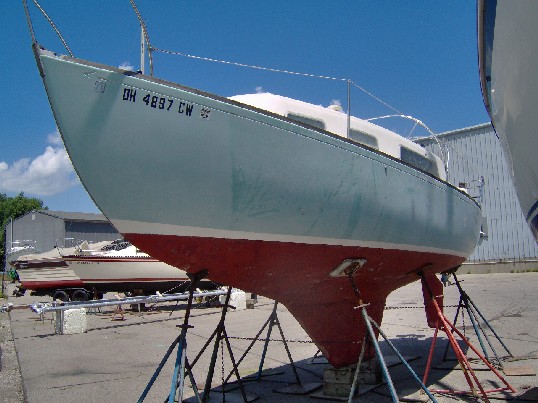 Tortuga lll-4.jpg