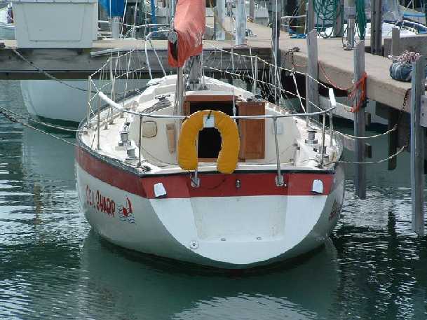 Sea Sharp 4.jpg