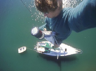 Grampian 30 "Avocet"