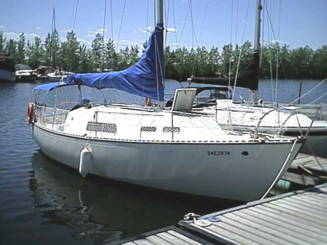 Dog Daze at dock.jpg
