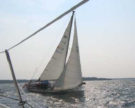 TAO Sail228.jpg