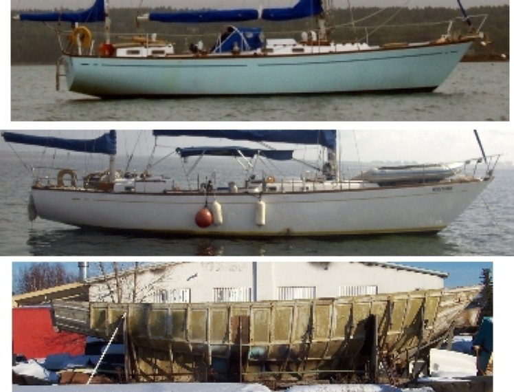 Figure_7_Large.JPG