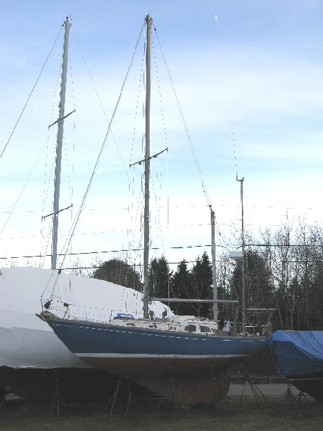 Walton 37 mod.jpg