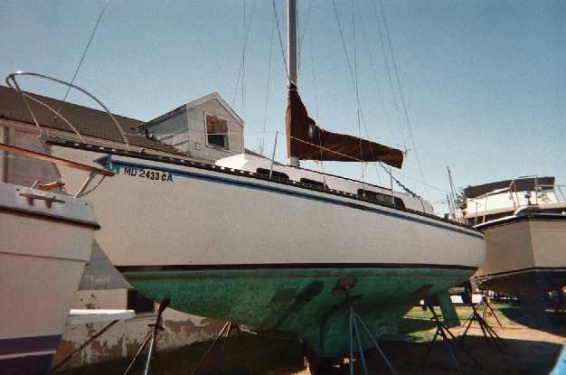 Collins 1.jpg
