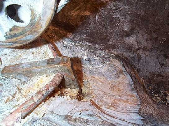 DCP07509.JPG