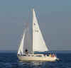 Grampian 26