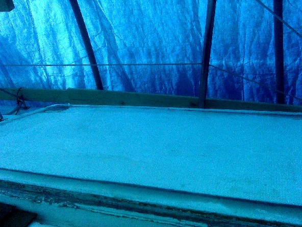 img00109.jpg